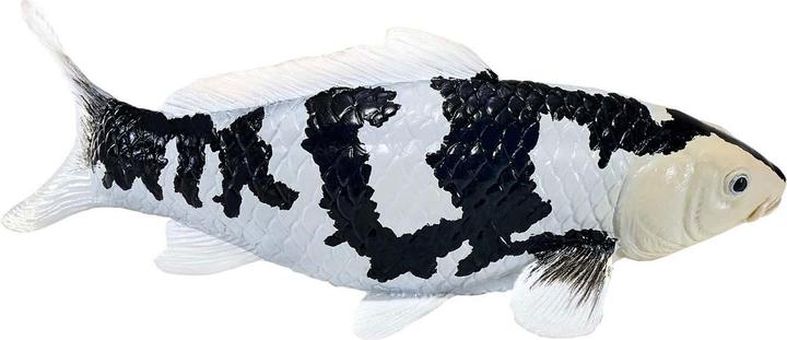Produktbild Mojo Sealife Koi-Karpfen – Shiro Utsuri Koi – 381102