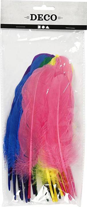 Actual product image Creativ Company Feathers