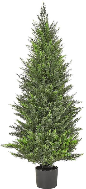 Immagine prodotto Beliani Cedar Tree (120 cm)