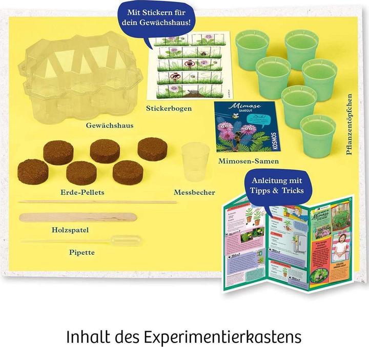 Produktbild Kosmos Mimosen-Garten