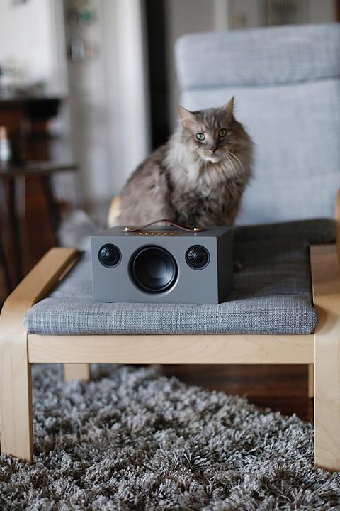 Immagine prodotto Audio Pro Altoparlante Bluetooth (30 h, Corrente elettrica)