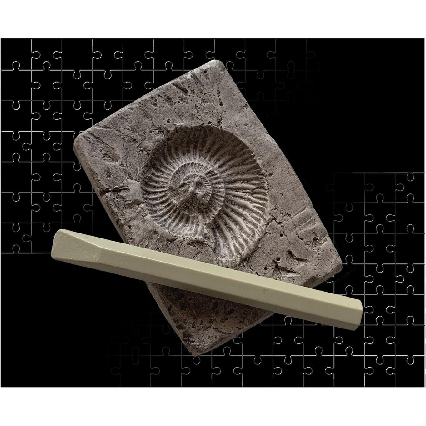 Thumbnail - Kosmos T-Rex in Action (200 Teile)