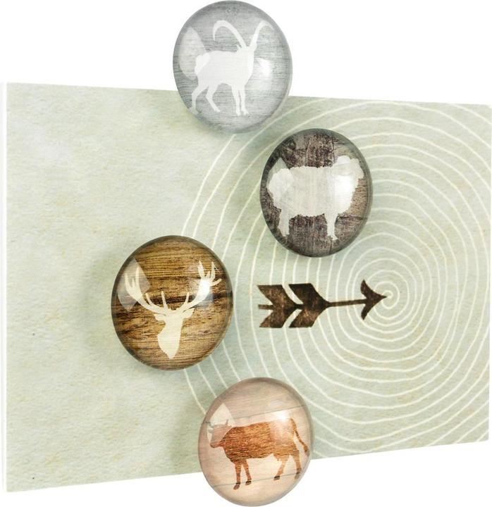 Produktbild Trendform EYE-Magnete ALP LIFE (4x)