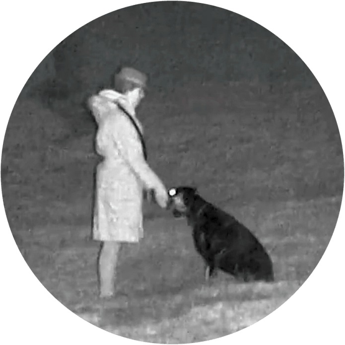 Actual product image Minox NVD 650