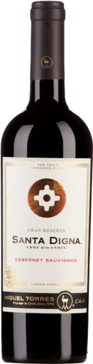 Produktbild Torres Cabernet Sauv Rot Reserva Santa Digna - Miguel (2021)