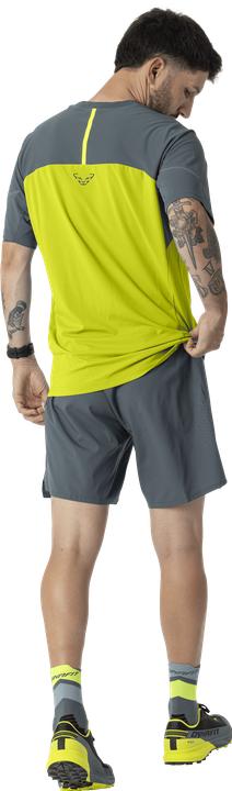 Produktbild Dynafit Alpine Shorts (L)