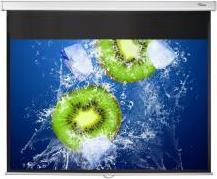 Actual product image Optoma DS-1095PMG+ (95", 16:10)