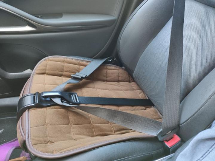 Produktbild Werkstein Schwangerschafts Auto-Gurt (One Size)