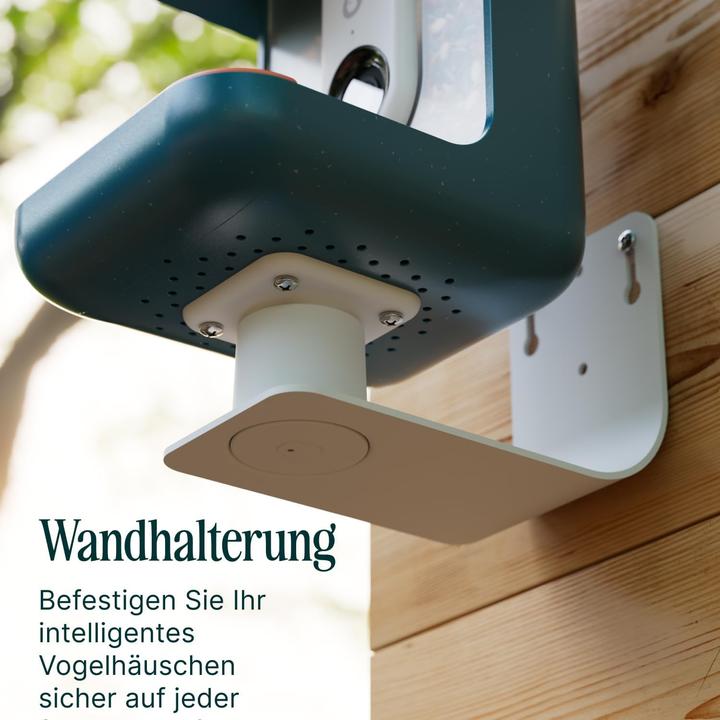 Produktbild Bird Buddy Wandhalterung