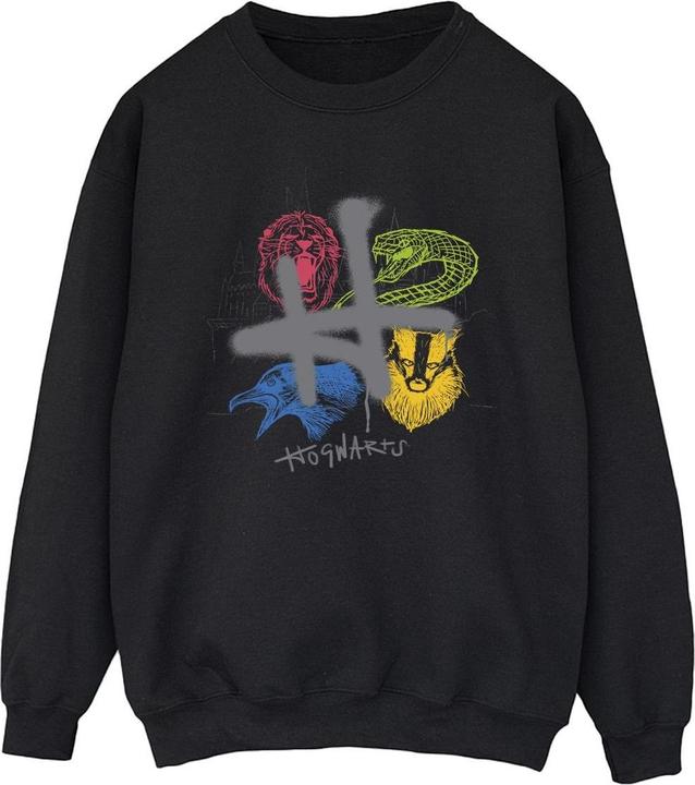 Image du produit - Sweat EMBLEMS H SPRAY - Homme (3XL)