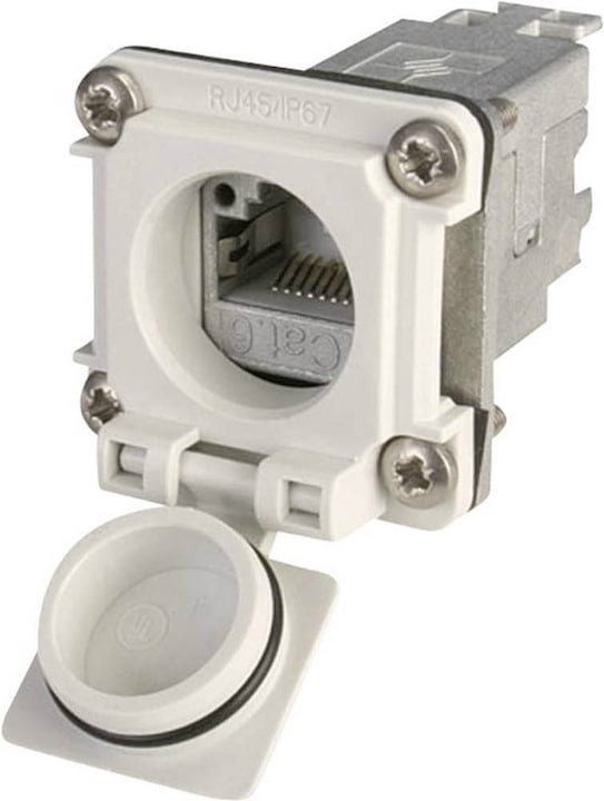Image du produit Telegärtner Connecteur RJ45 STX V6 jeu de brides variante 6