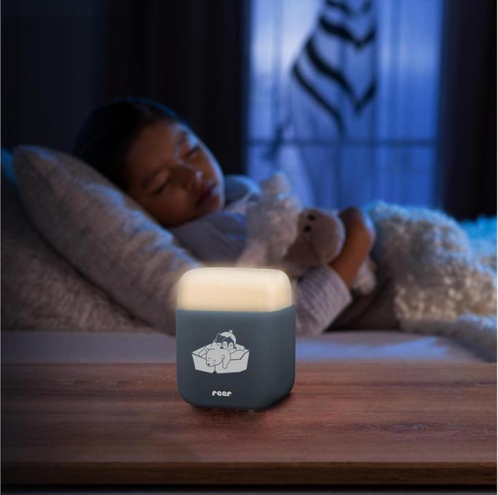 Actual product image Reer 2in1 SleepLight