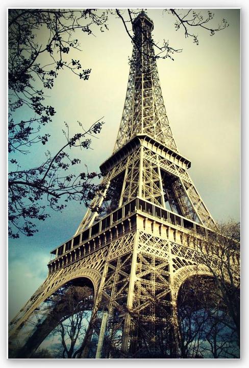 Image du produit Trenddeko Paris Tour Eiffel (30 x 45 cm)
