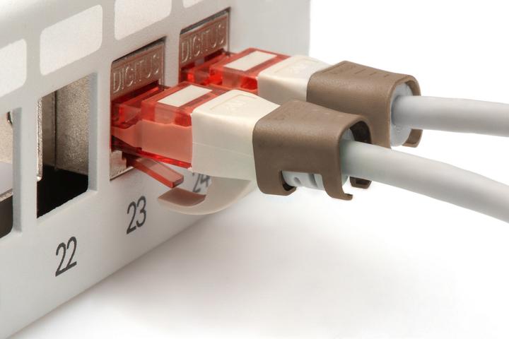 Actual product image Digitus Color clips for Patch cable - Brown