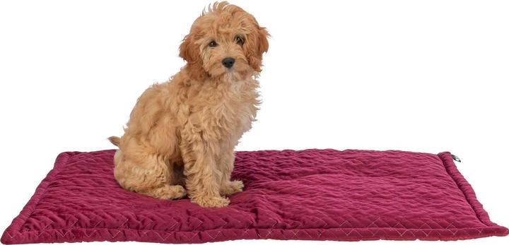 Image du produit Trixie Natalya lying mat, square, 90 × 60 cm, bordeaux (Chien)