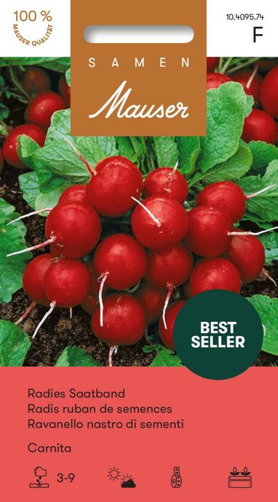 Produktbild Samen Mauser Radies Carnita (Gemüsesamen)