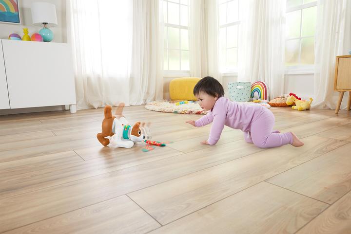 Image du produit Fisher-Price 123 Crawl With Me Puppy-DU