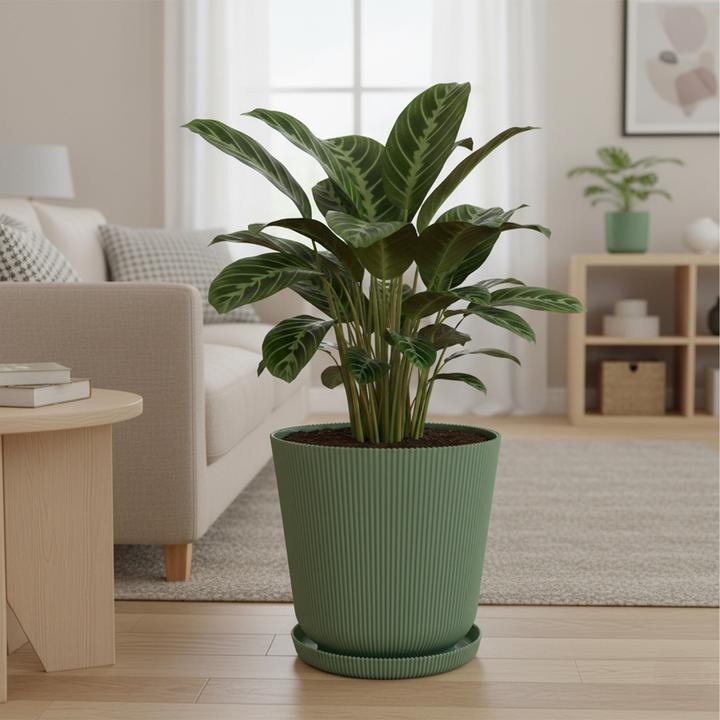 Produktbild Relaxdays Blumentopf Set (20 x 20 cm)