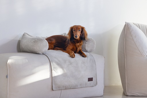 Actual product image Designed by Lotte Ribbed (Dog)