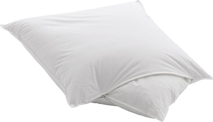 Actual product image Dauny Capa Piuma (65 x 65 cm)