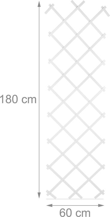 Actual product image Relaxdays 3x trellis (2 cm, 60 cm)