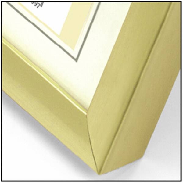 Produktbild ZEP New Easy (10 x 15 cm)