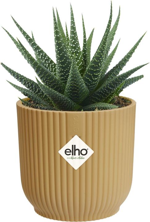Produktbild Elho Blumenschale (7 cm)