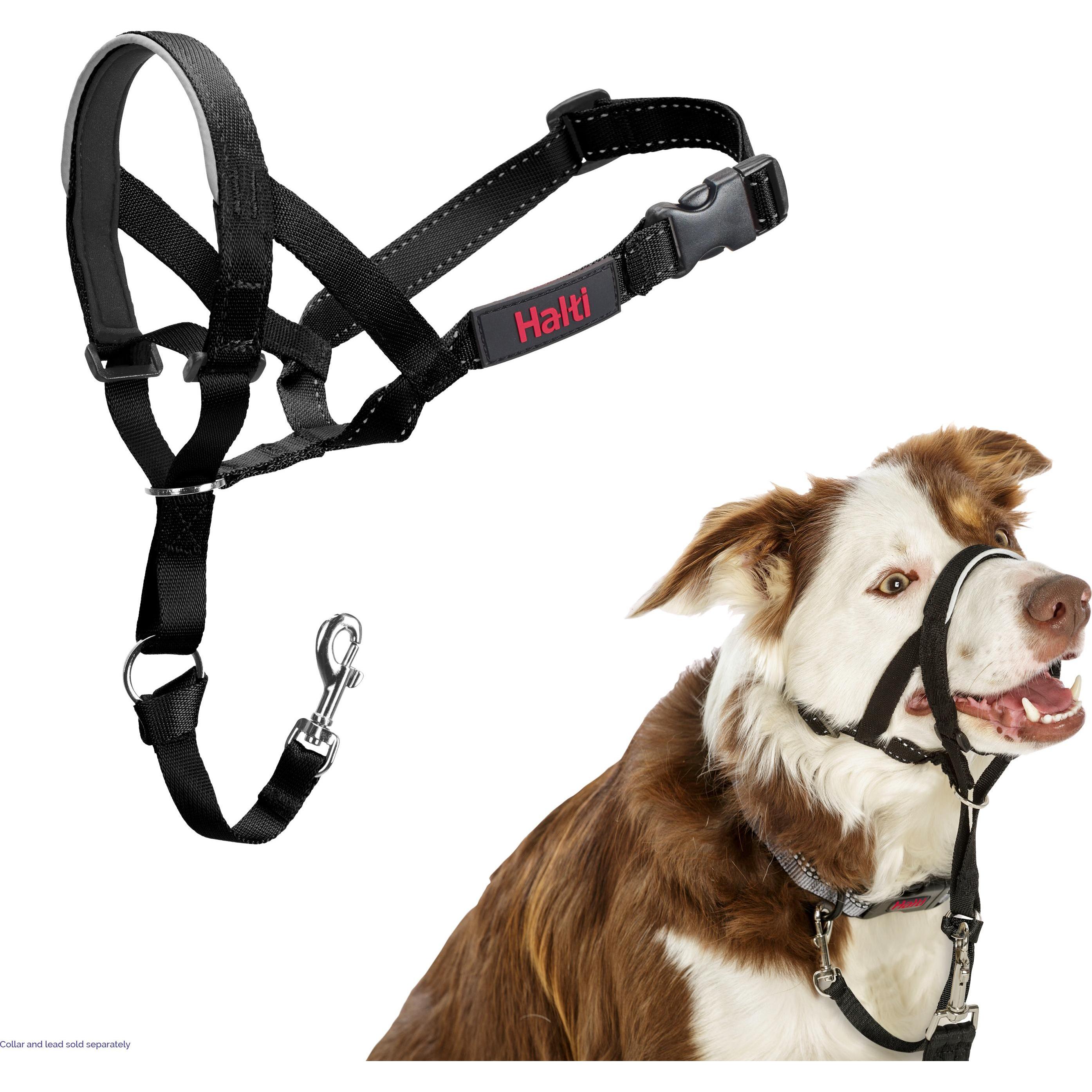 Comparer les prix de Company of Animals Halti Black Kopfgeschirr 2 (2, Chien, Général), Collier + laisse