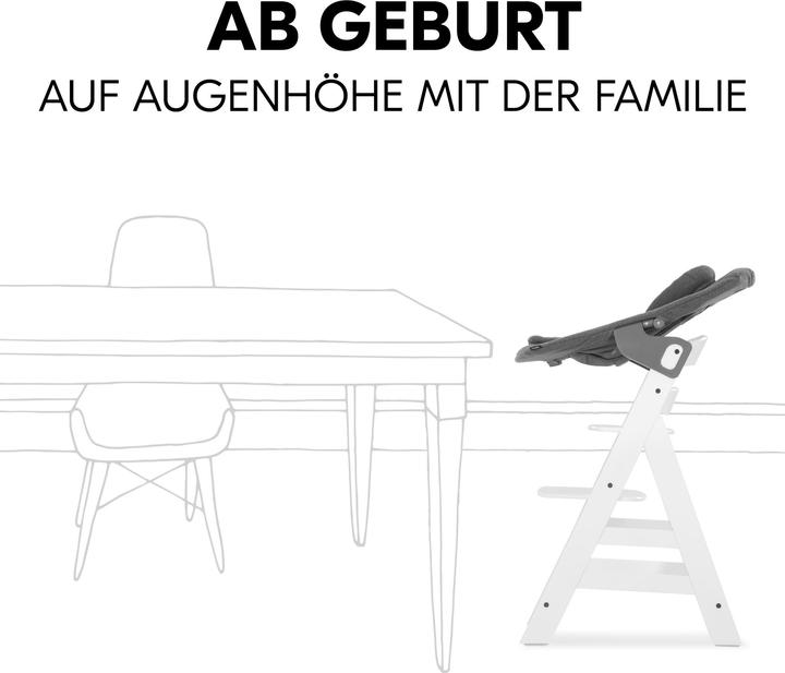 Produktbild Hauck Alpha Bouncer Premium (Hochstuhl)