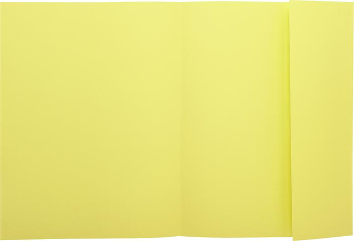 Produktbild Exacompta Sammelmappen - Aktendeckel (A4, 100x)