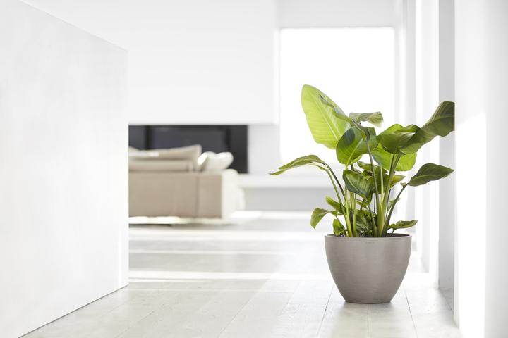 Produktbild Ecopots Antwerp (39.70 x 30 cm)