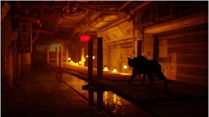 Produktbild BlueTwelve Studio Stray (PS4, DE)