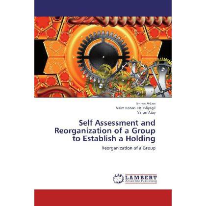 Self Assessment and Reorganization of a Group to Establish a Holding, Fachbücher von Imran Aslan, Yalç n Atay, Naim Kena...