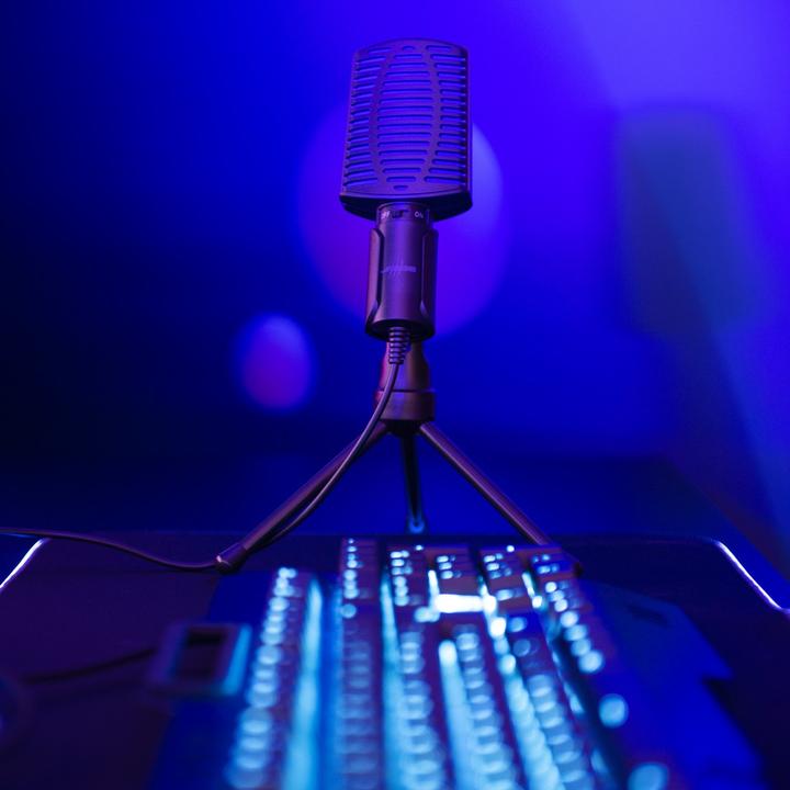 Actual product image Urage Microphone HD Microphone "Stream 100"