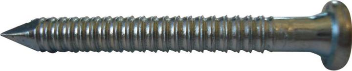 E-NORMpro Anchor nail 4.0x40 mm (40 mm)