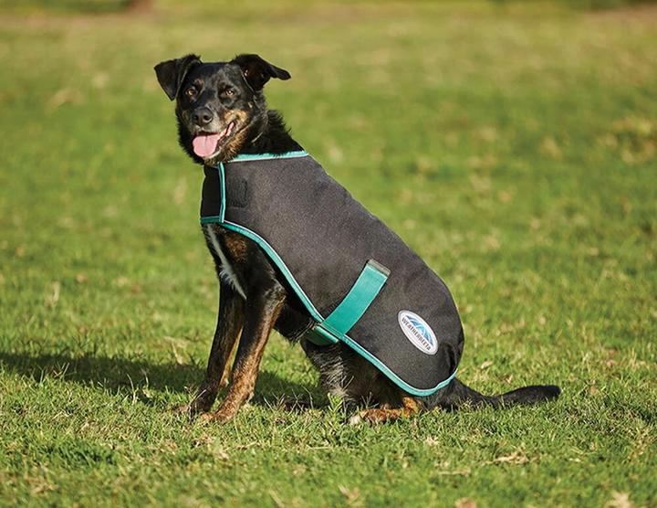 Actual product image Weatherbeeta Green-Tec 900D dog coat medium (25, Dog coat)
