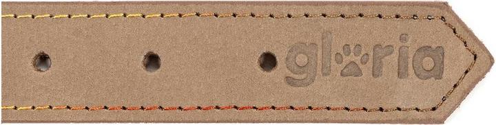 Image du produit Gloria Collier pour chien Oasis Beige Blanc 35 cm (1,2 x 35 cm) (Nubuck)