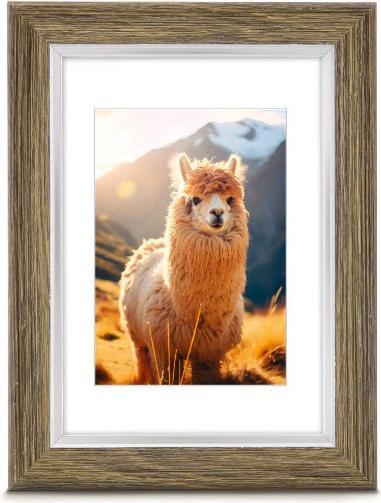 Immagine prodotto Hama Lima (9 x 13 cm)