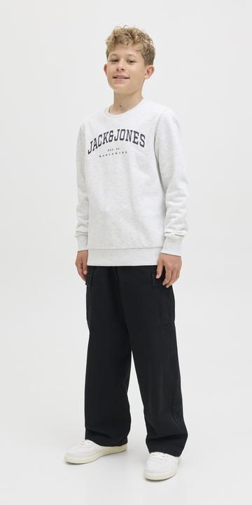 Actual product image Jack & Jones Jpstowen Fctry Fabric1 L2 Cargo Pant Jnr (134)