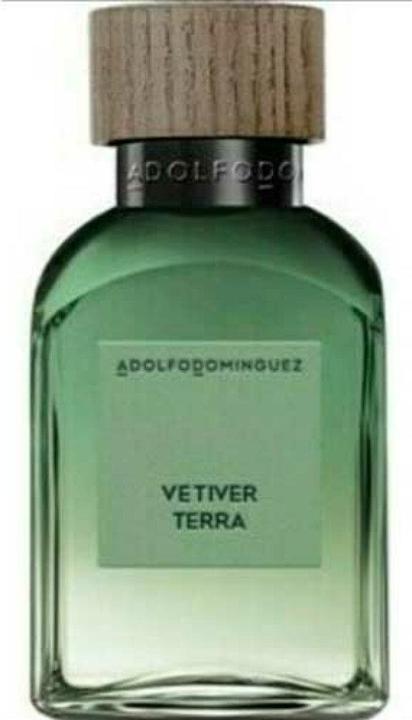 Produktbild Adolfo Dominguez Vetiver Terra Eau De Parfum Spray 200ml (Eau de Parfum, 200 ml)