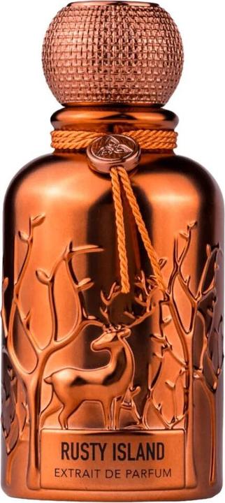 Immagine prodotto Auraa Desire Rusty Island Extrait Perfume 100ml by Profumo forte di cuoio e legno per uomo e donna (Extrait De Parfum, 100 ml)