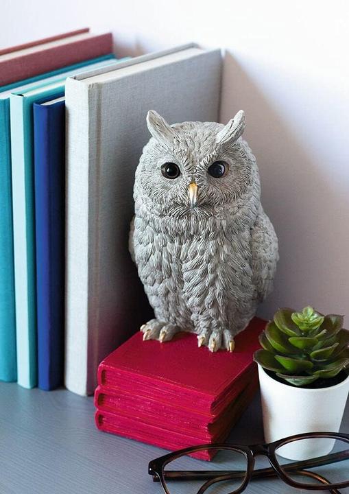 Produktbild libri x Buchsttze Eule