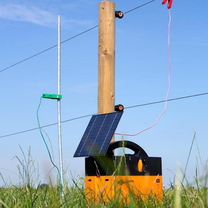 Actual product image Gallagher Earth spike with clamp