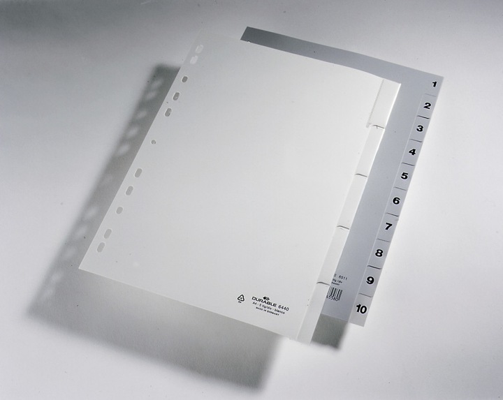 Immagine prodotto Durable Registro PP