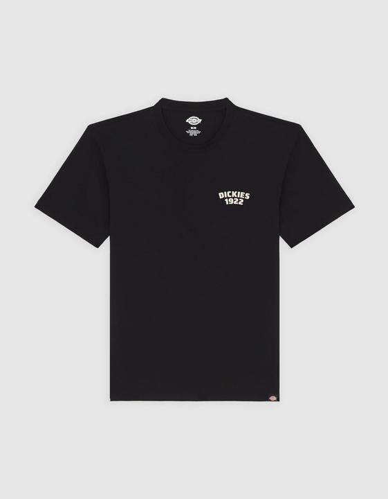 Actual product image Dickies Mechanic Ss Tee Black (M, L)