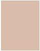 Productafbeelding L'Oréal Paris Infaillible 24H Fresh Wear (145 Rose Beige)