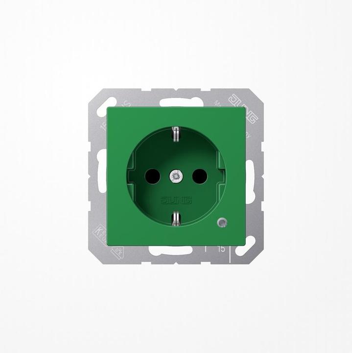 Actual product image JUNG SCHUKO socket outlet