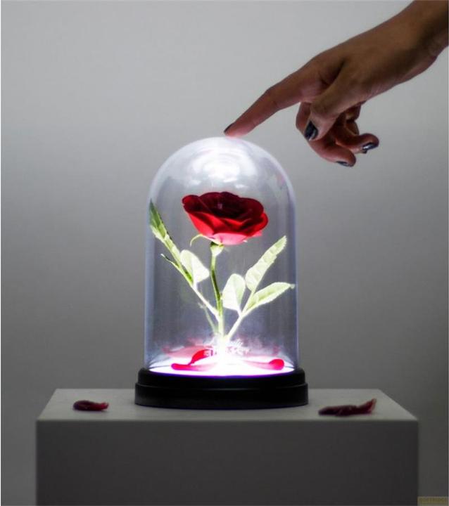Immagine prodotto Paladone Products Rosa incantata