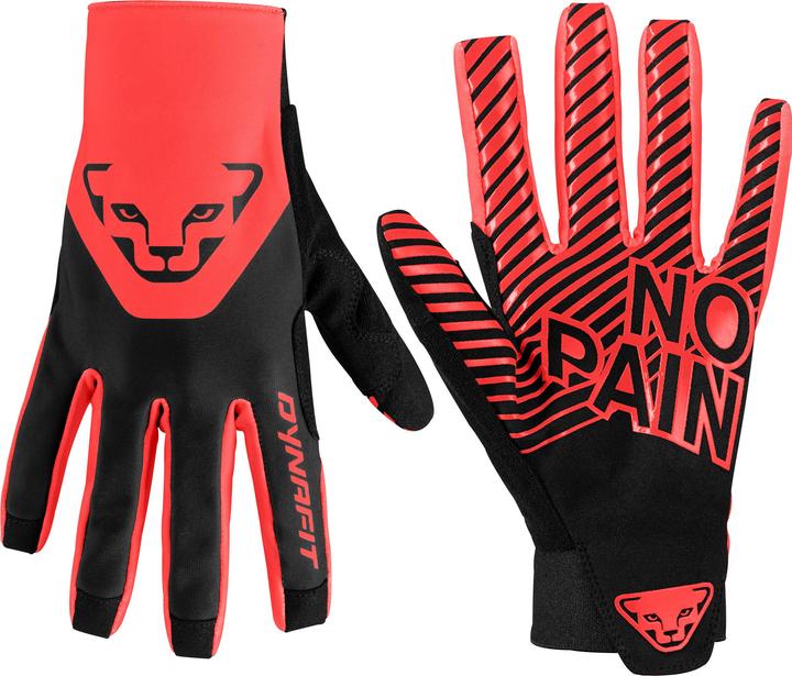 Produktbild Dynafit DNA Handschuhe (XL)