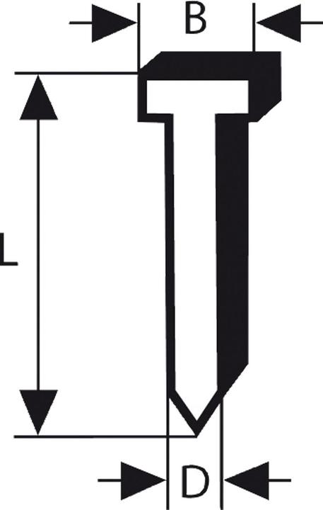 Immagine prodotto Bosch Professional Zubehör Perno svasato SK64 55G, 1,6 mm, 55 mm, zincato